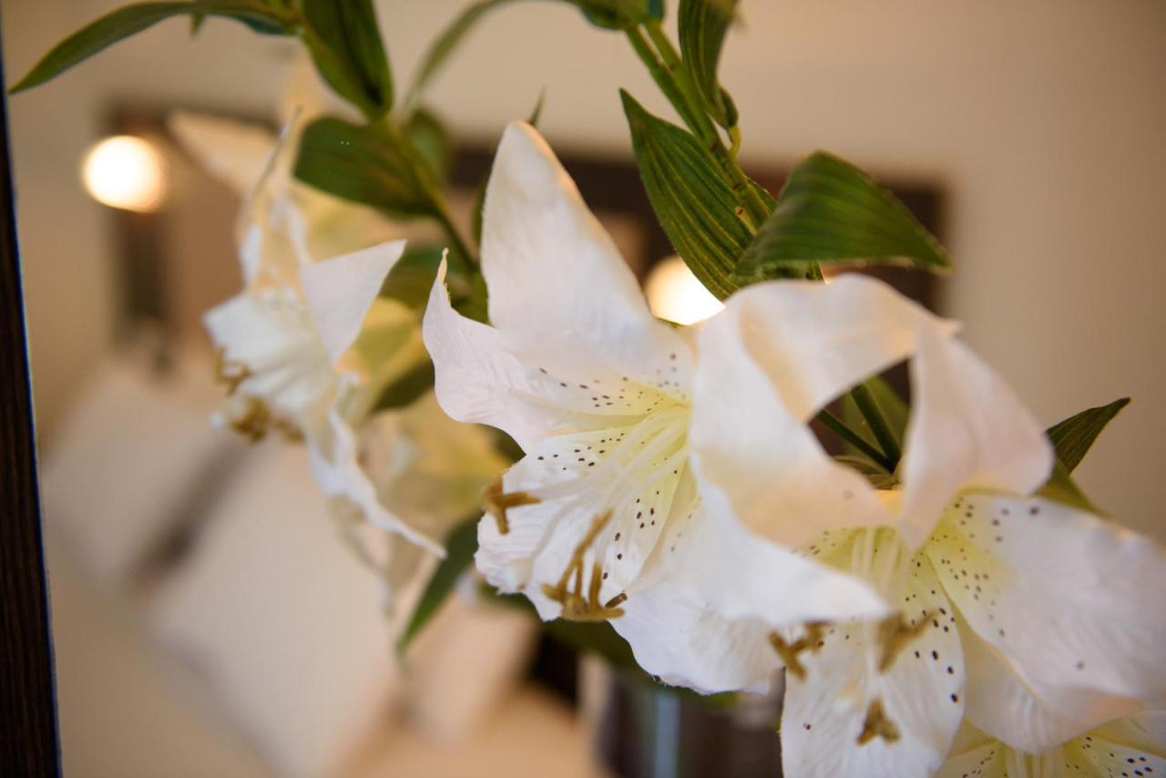 Amalia Corfu Hotel - Adults Only Kato Korakiana Екстер'єр фото