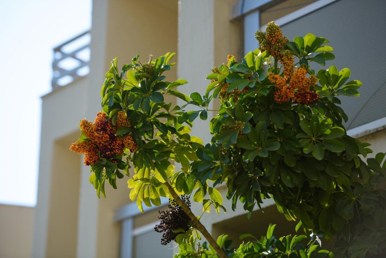 Amalia Corfu Hotel - Adults Only Kato Korakiana Екстер'єр фото